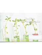 Herlitz Caiet biologie 24 file Rock Your