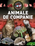 Kreativ Animale de companie 3D