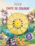 Litera Disney Iepurasi Carte de colorat 12 creioane mici pentru maini de pitici