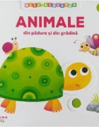 Litera Misc si descopar Animale din padure si din gradina