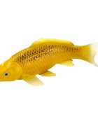 Mojo Figurina Peste Koi Ki Matsuba