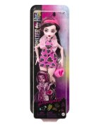 Monster High Papusa cu accesorii Draculaura HKY74