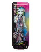Monster High Papusa cu accesorii Frankie Stein HKY76