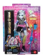 Monster High Papusa cu animal de companie Frankie Stein si Watzie JHK31