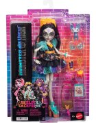 Monster High Papusa cu animal de companie Skelita Calaveras JHK34