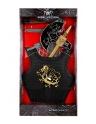 Paladin Set pentru cavaler Topor si armura