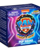 Paw Patrol Mini figurina surpriza Pup Squad
