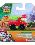 Paw Patrol Mini vehicul cu figurina the Dino Movie Pup Squad Racers Marshall 20157135