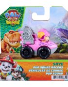 Paw Patrol Mini vehicul cu figurina the Dino Movie Pup Squad Racers Skye 20157139