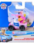 Paw Patrol Vehicul cu figurina Pup Squad Racers Skye 20156336