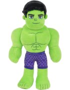 Spidey and His Amazing Friends Jucarie de plus Hulk