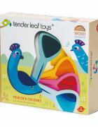 Tender Leaf Toys Paun colorat din lemn