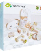 Tender Leaf Toys Set spa din lemn premium