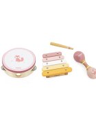 Viga Set de instrumente muzicale PolarB Vulpe
