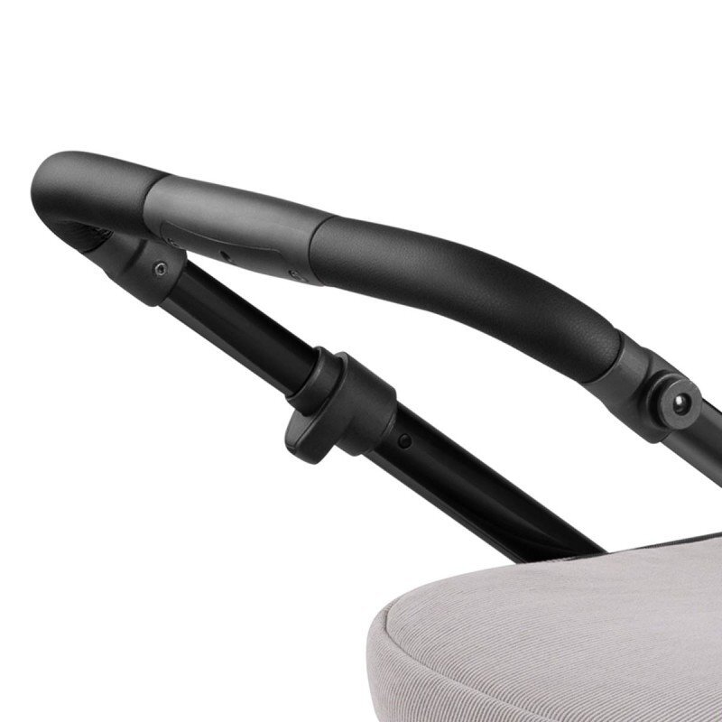 ABC DESIGN Carucior 2 in 1 Salsa 4 Air Biscuit