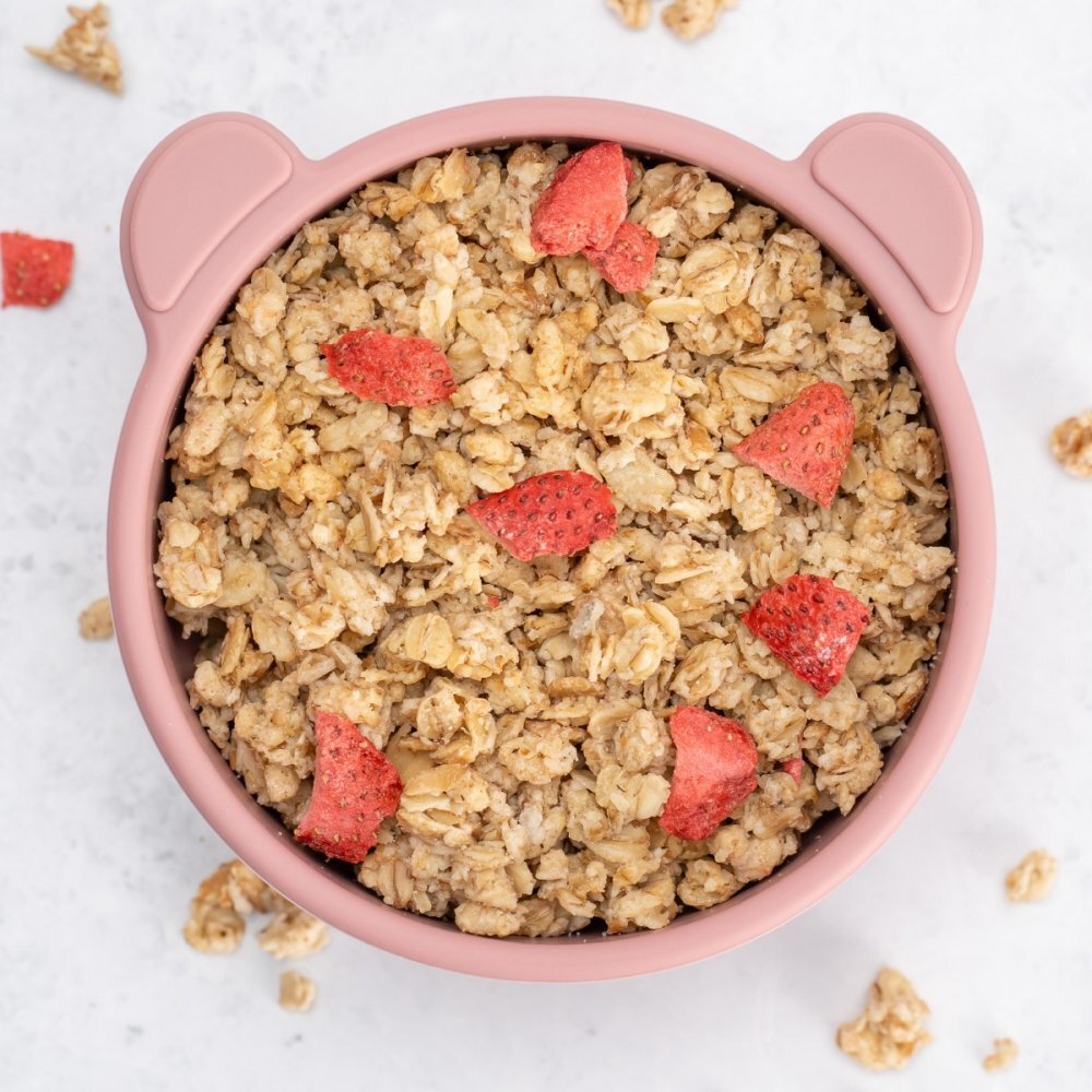 APPEKIDS Bol din silicon cu ventuza The Little Bear Old Rose