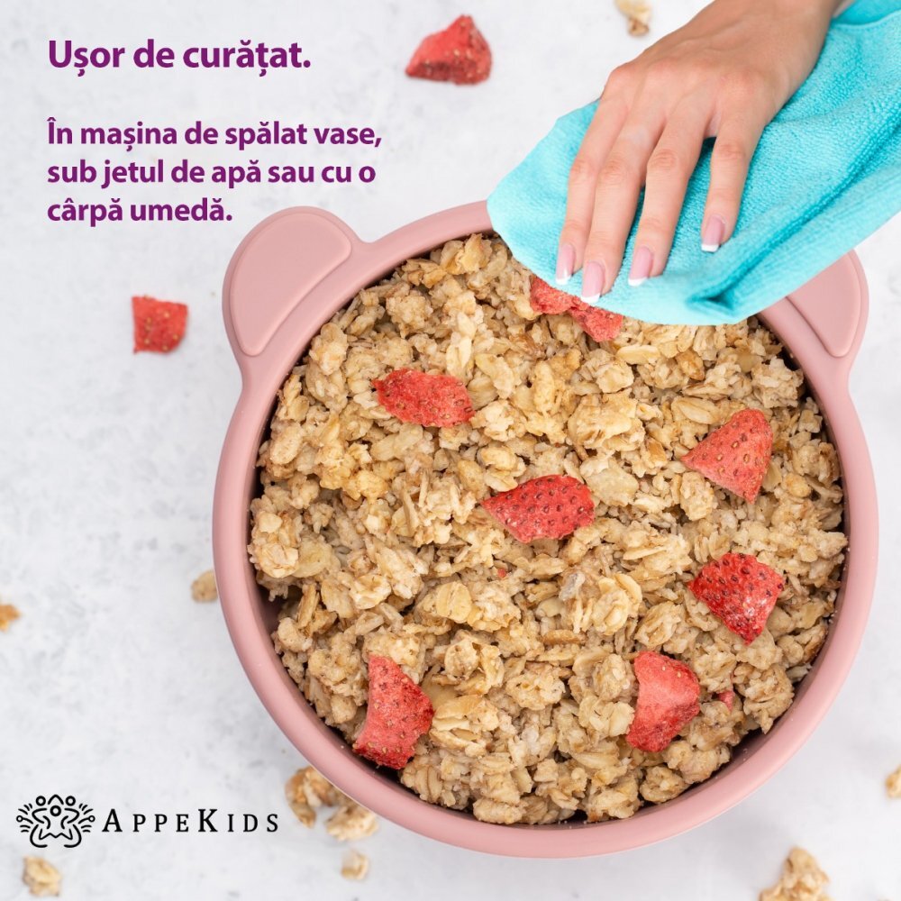 APPEKIDS Bol din silicon cu ventuza The Little Bear Old Rose