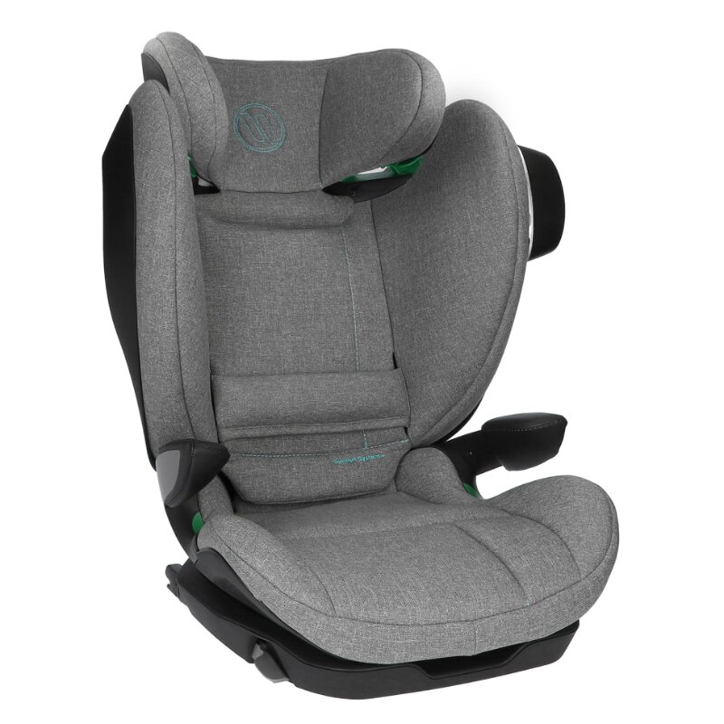 AVIONAUT Scaun auto MaxSpace Smart Grey