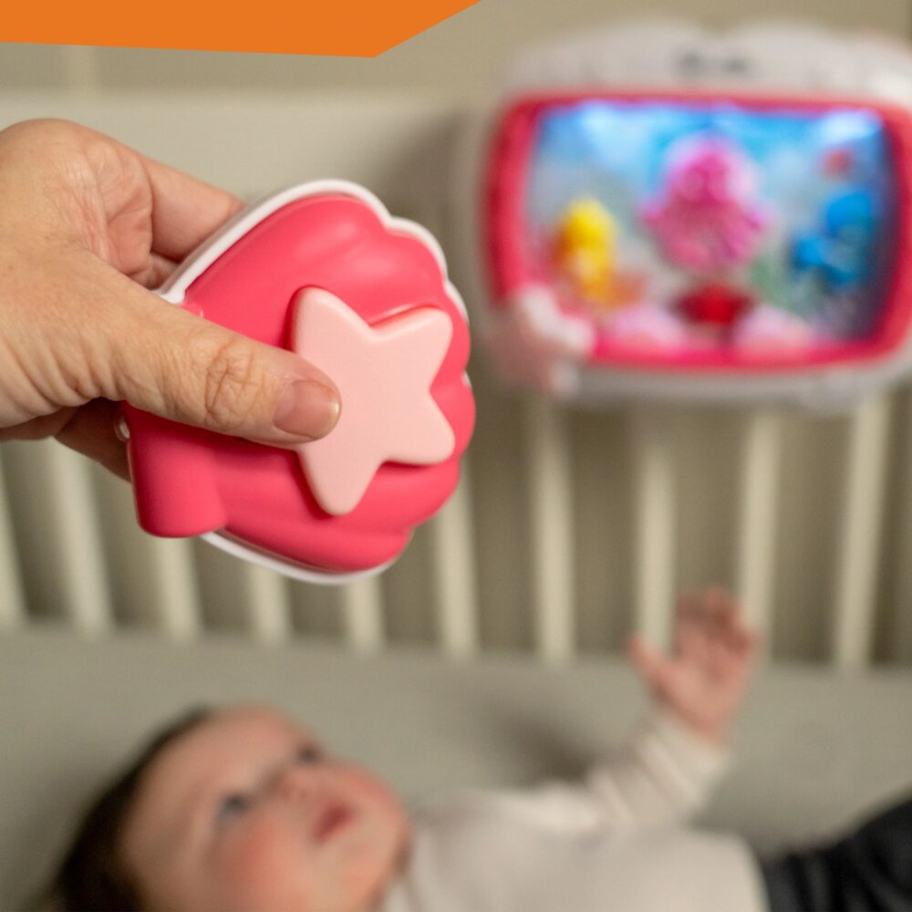 Baby Einstein Jucarie muzicala pentru patut Sea Dreams Soother Pink