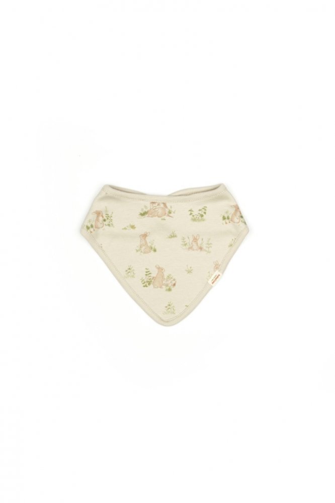 BabyCosy Set de 3 bavete pentru nou nascut 100 bumbac organic Rabbit