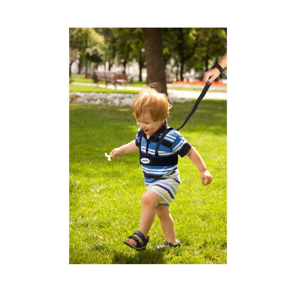 BabyJem Ham de siguranta Safety Belt Black