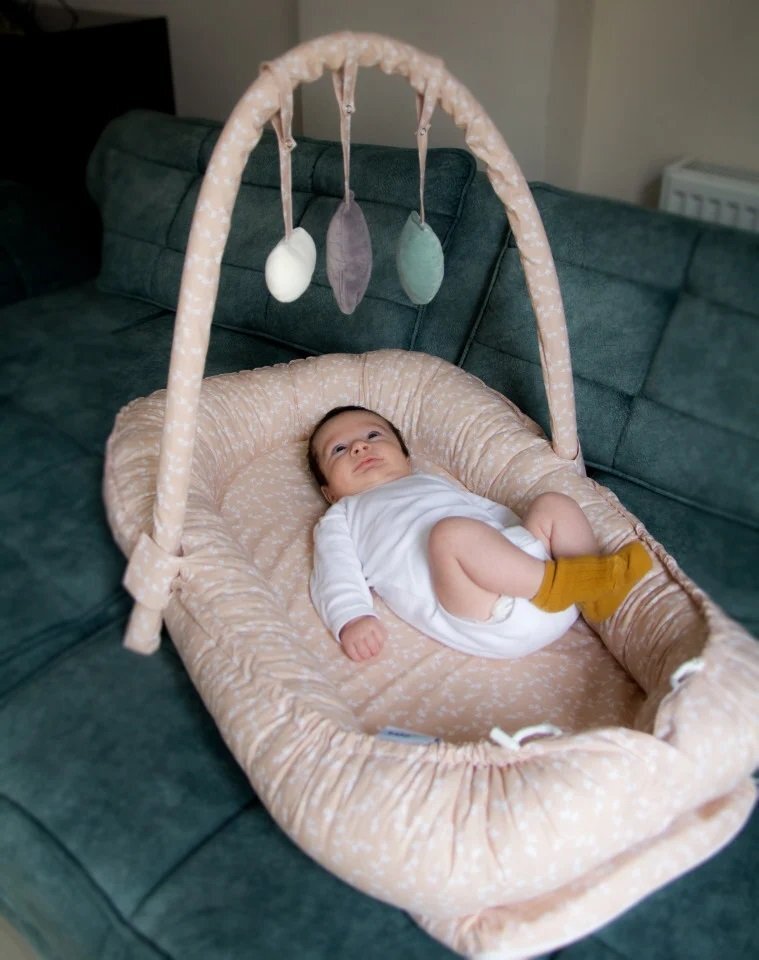 BabyJem Salteluta Baby Nest cu bara jucarii Between parents Somon