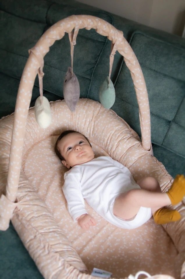 BabyJem Salteluta Baby Nest cu bara jucarii Between parents Somon