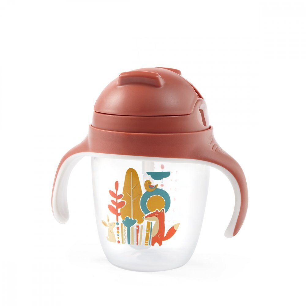 BABYONO Cana cu pai Baby Ono pentru copii 240 ml maro