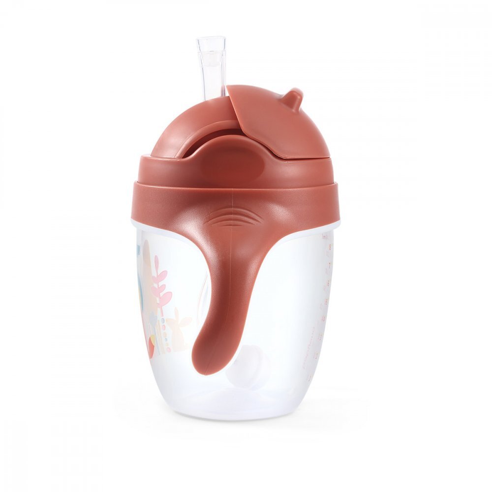 BABYONO Cana cu pai Baby Ono pentru copii 240 ml maro
