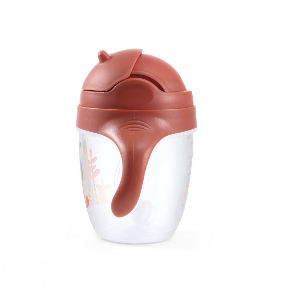 BABYONO Cana cu pai Baby Ono pentru copii 240 ml maro