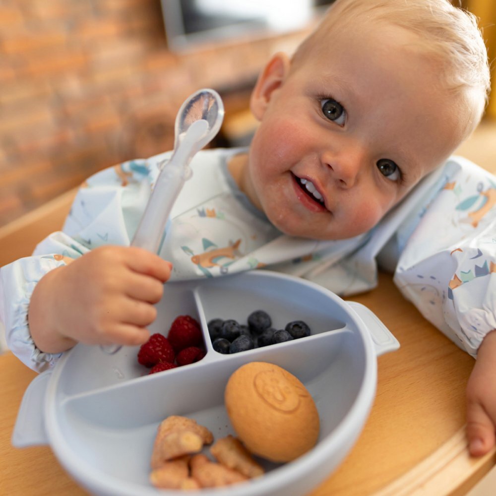 BABYONO Farfurie din silicon cu ventuza si capac albastru