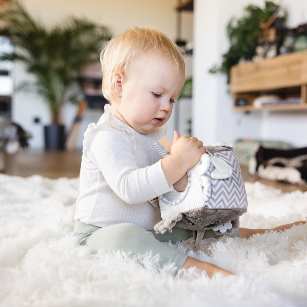 BABYONO Jucarie cub activitati Koala Coco