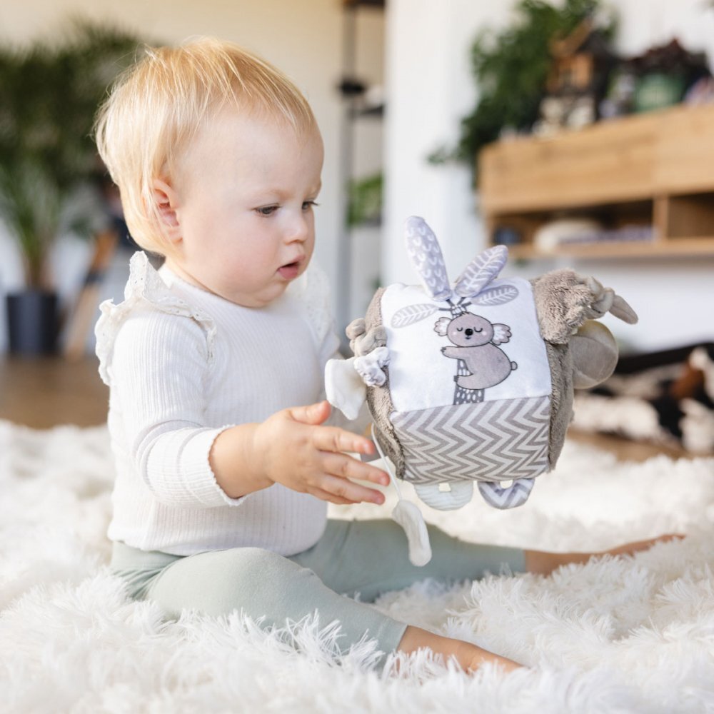 BABYONO Jucarie cub activitati Koala Coco