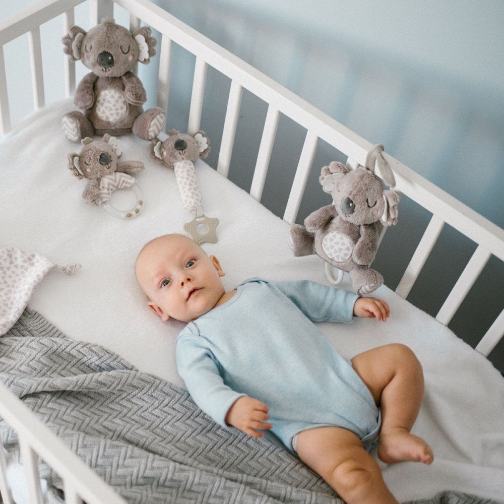 BABYONO Jucarie muzicala Koala Coco