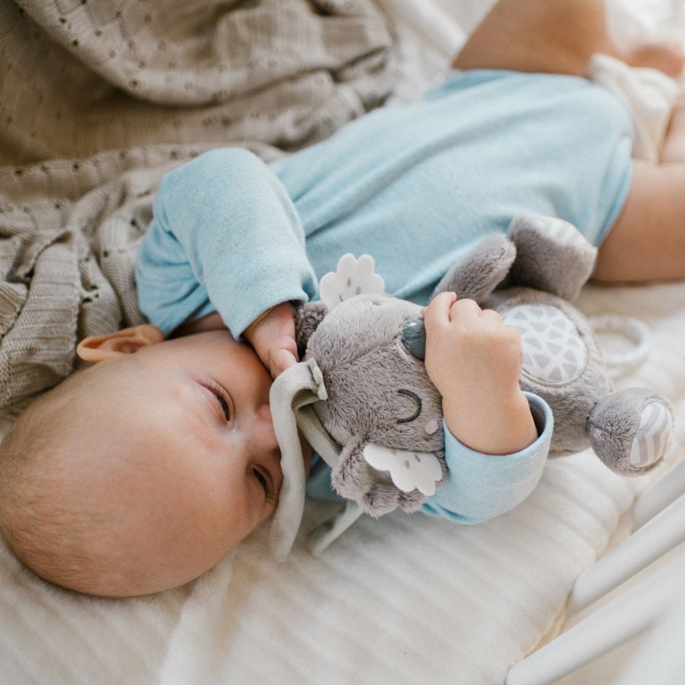 BABYONO Jucarie muzicala Koala Coco