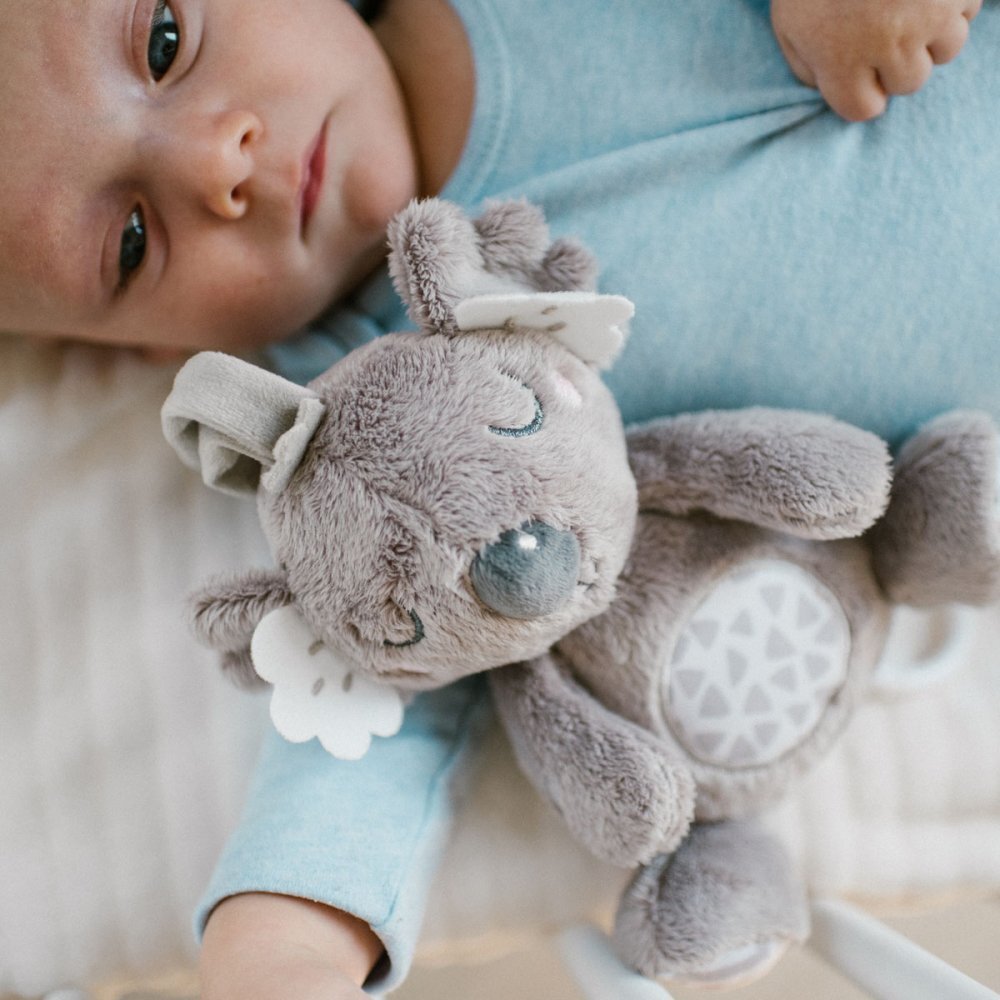 BABYONO Jucarie muzicala Koala Coco