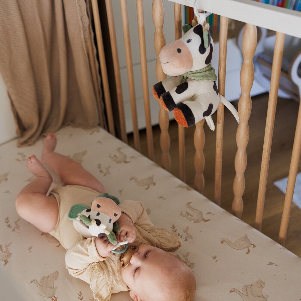 BABYONO Jucarie muzicala Vacuta Bingo