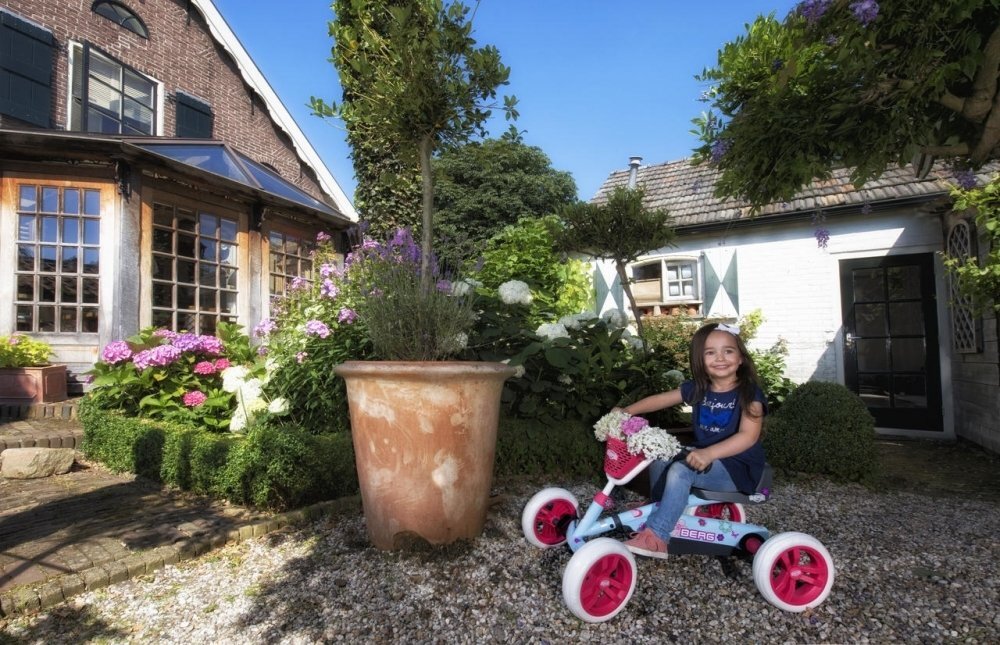 BERG TOYS Kart BERG Buzzy Bloom