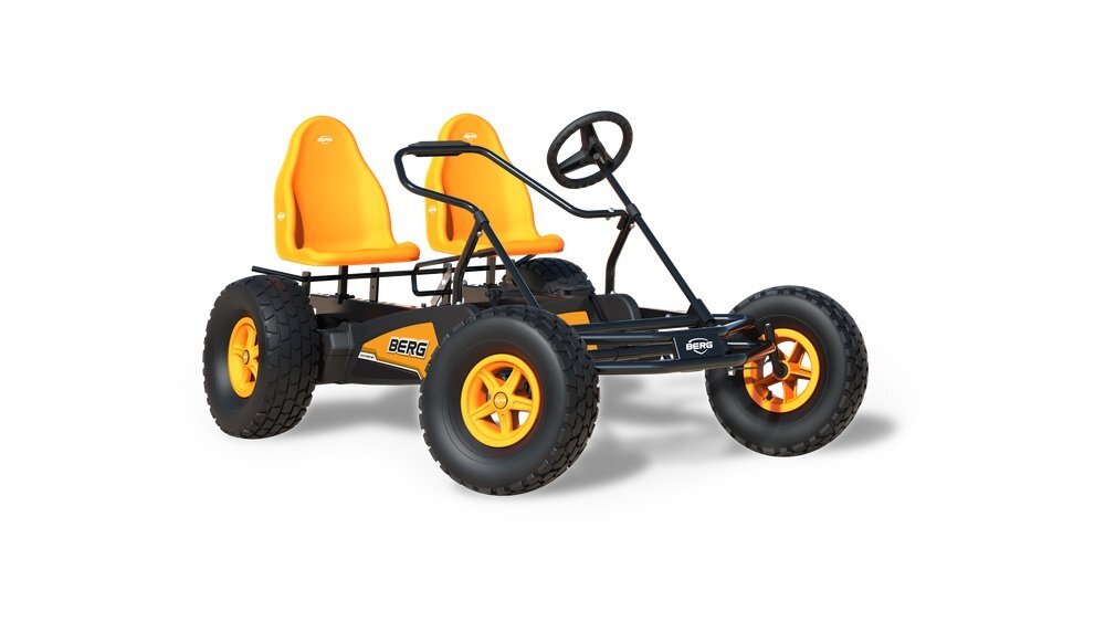BERG TOYS Kart Berg Duo Coaster BFR