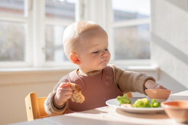 BIBS Bavetica pentru diversificare si hranire blush