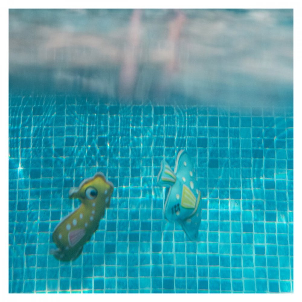 BS Toys Joc pentru scufundari animale subacvatice