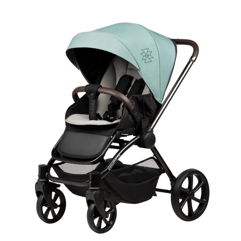 Buba Carucior pentru copii Kanatitza Mentha 2 in 1 cu suspensii scaun reversibil rucsac suport pahar plasa insecte si husa ploaie