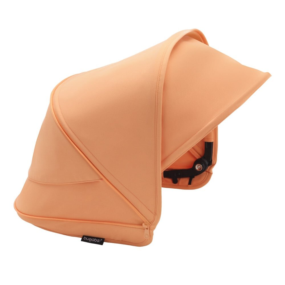 Bugaboo Capotina carucior Dragonfly island coral