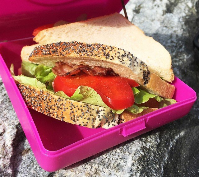 Carl Oscar Caserola sandwich gri