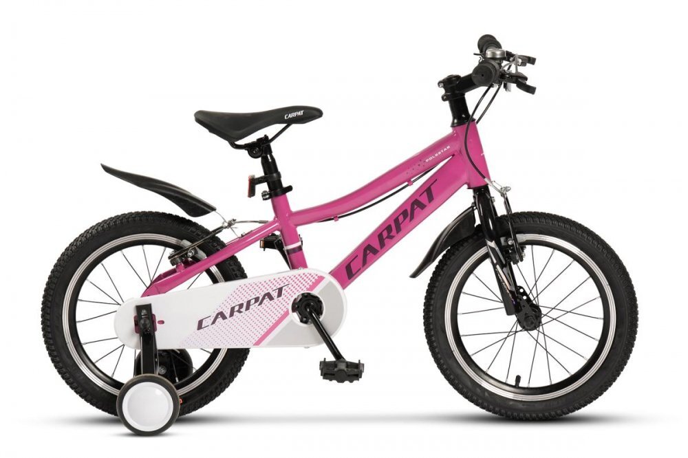 CARPAT Bicicleta pentru copii 4-6 ani C16261A Fucsia 16 inch