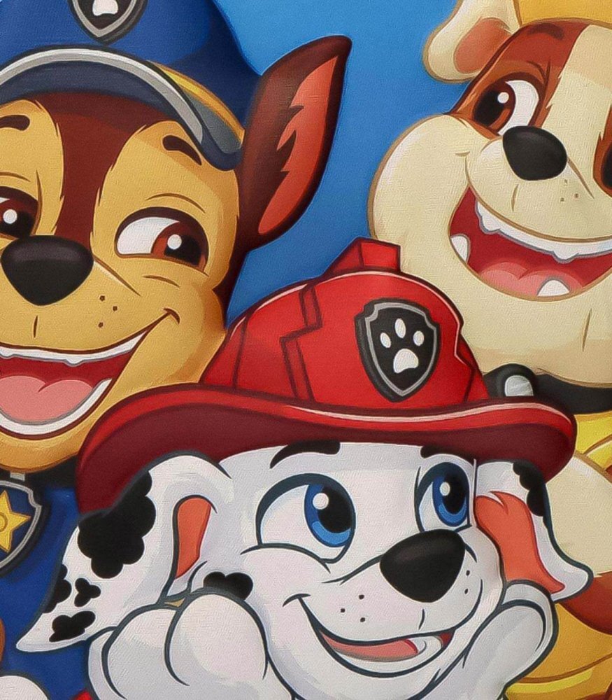 Cerda Geanta termica 3D pentru copii Paw Patrol