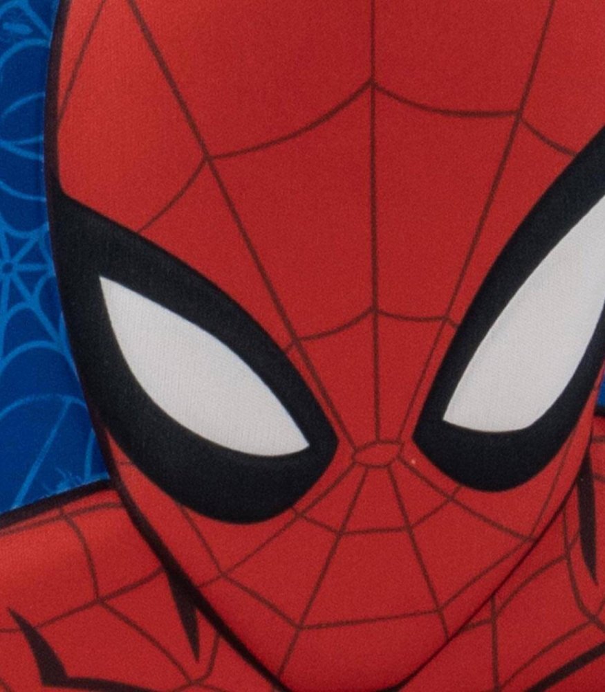 Cerda Geanta termica 3D pentru copii Spiderman