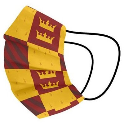 Cerda Masca faciala reutilizabila pentru copii 5 - 10 ani Harry Potter