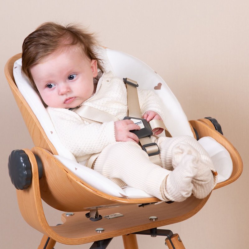 Childhome Sezut nou-nascut pentru scaun de masa Evolu 2Evolu One.80 naturalantracit