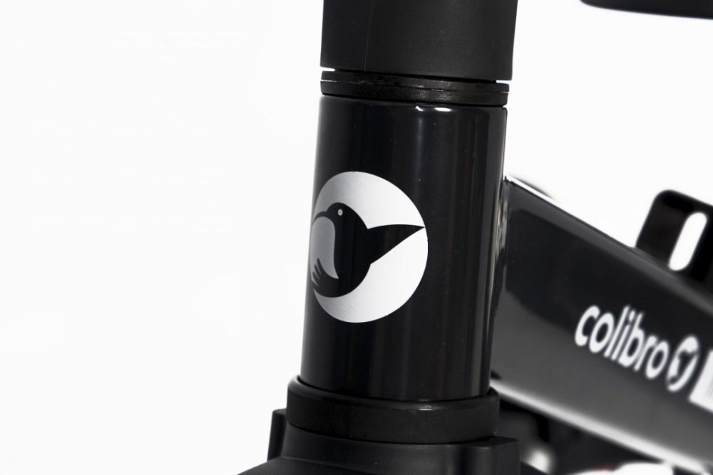Colibro Tricicleta pentru copii Tremix Magnetic transformabila 4 in 1 Ride On cu scaun reglabil roti din cauciuc pana la 25 kg